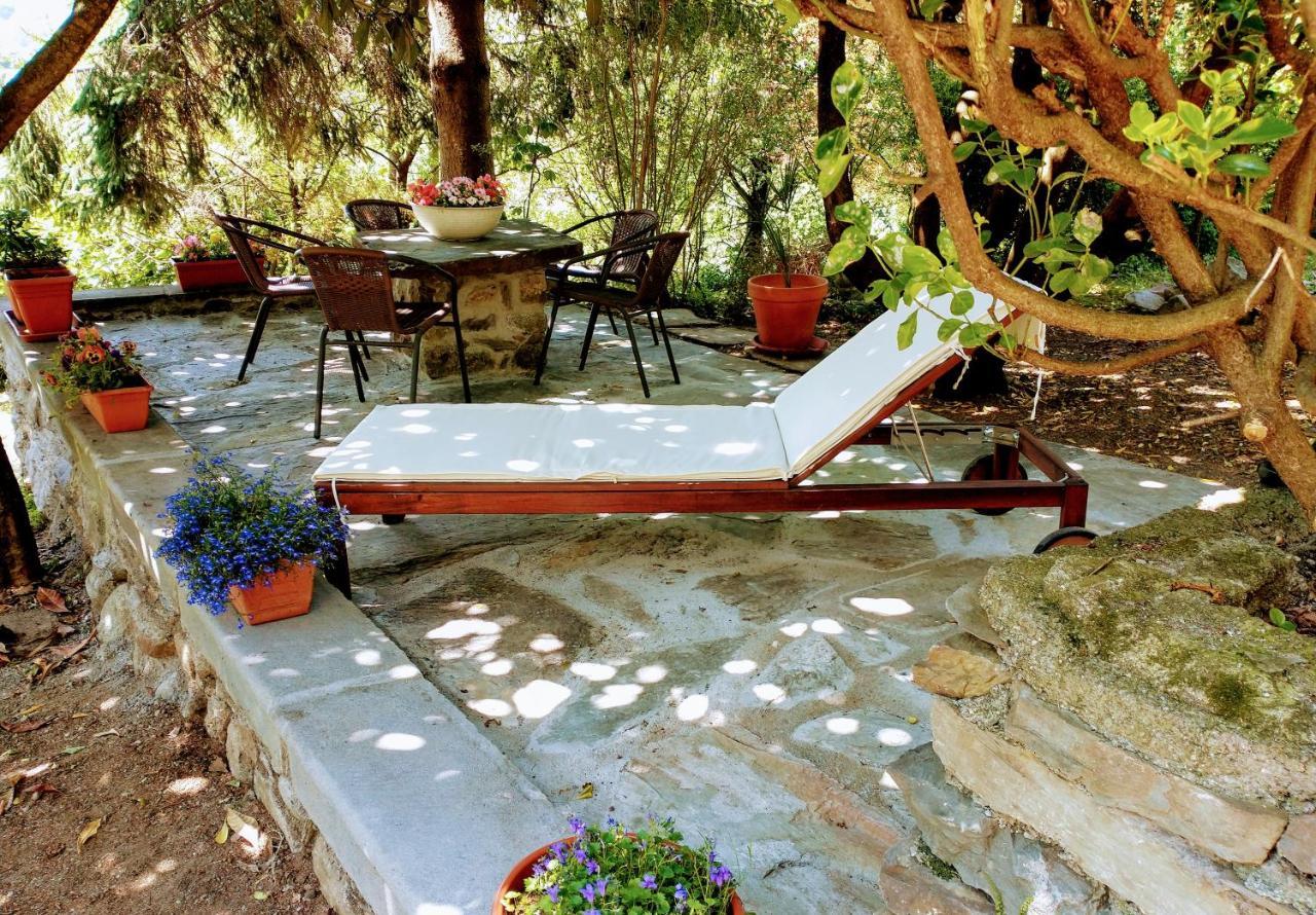 Casa Visnenza Bed & Breakfast Capo di Ponte エクステリア 写真